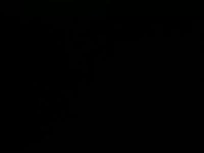 淄博交友。有认证。