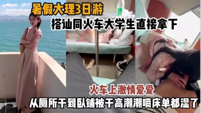 火车上直接搭讪从厕所干到卧铺（简阶有惊喜）
